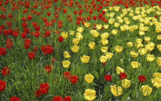 483959 (a): :1920x1200